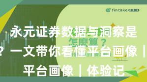 永元证券数据与洞察是否可靠？一文带你看懂平台画像｜体验记